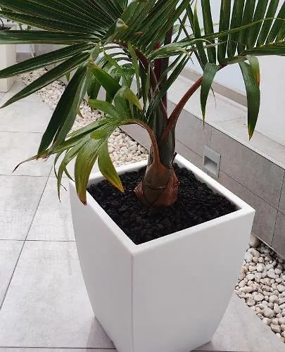 Luxury Townhouse Адехе