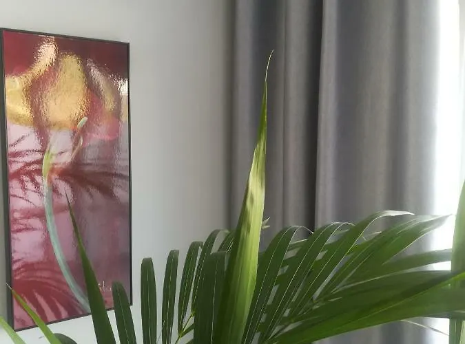 Luxury Townhouse * Адехе