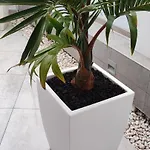 Luxury Townhouse אדחה