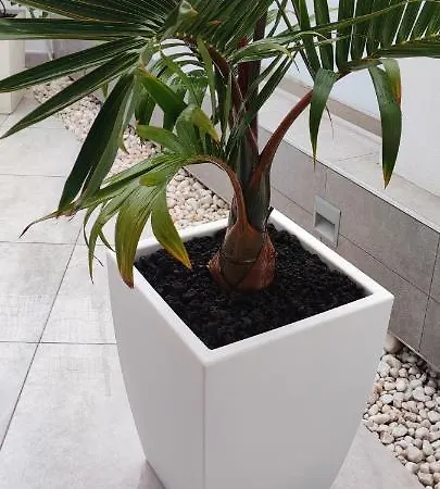Palm & Sun Family Villa Costa Adeje (Tenerife)